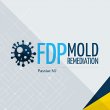 fdp-mold-remediation