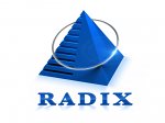radixweb---it-outsourcing-and-custom-software-development-company