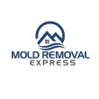 mold-removal-express