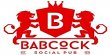 babcock-social-pub