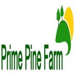 prime-pine-farm