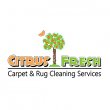 citrus-fresh-carpet-rug-cleaning-services