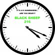 black-sheep-216