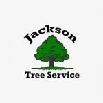 a1-tree-service-jackson
