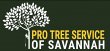 pro-tree-service-of-savannah