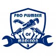 pro-plumber-of-madison