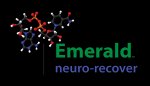 emerald-neuro-recover-drug-rehabs-carmel-indiana