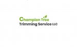 champion-tree-trimming-service-llc