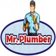 mr-plumber