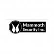 mammoth-security-inc-norwalk
