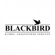 blackbird-worldwide---limo-car-services