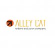 alley-cat