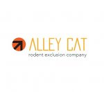 alley-cat
