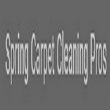 spring-carpet-cleaning-pros
