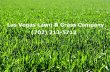 las-vegas-lawn-grass-company