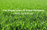 las-vegas-lawn-grass-company