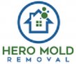 hero-mold-removal---va-beach