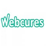 web-cures-seo-services-provider-company