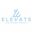 elevate-egg-donor-agency