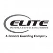 elite-interactive-solutions-llc