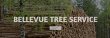 bellevue-tree-trimming