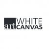 art-white-canvas