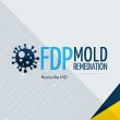 fdp-mold-remediation--rockville