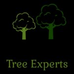 orem-tree-experts
