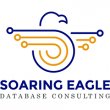 soaring-eagle-database-consulting