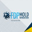 fdp-mold-remediation