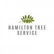 tree-service-hamilton