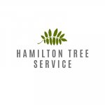 tree-service-hamilton