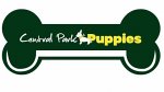 central-park-puppies