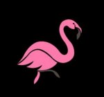 flamingo-liquor