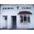 animal-clinic-of-bay-ridge