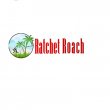 ratchet-roach-pest-control
