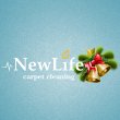 carpet-cleaning-new-life