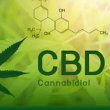 hemp-cannabis-dispensary