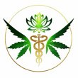 ar-mmj-cards-arkansas-medical-marijuana-cards