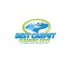 best-carpet-cleaning-guys