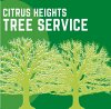 citrus-heightstree-service