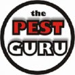 the-pest-guru
