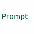prompt-global-corporation