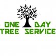 one-day-tree-service