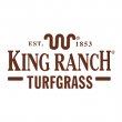 king-ranch-florida-turfgrass