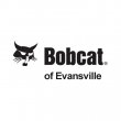 bobcat-of-evansville