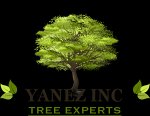 yanez-tree-service-experts