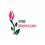 snap-blooms-corp