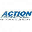 action-extraction-inc