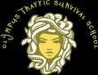 olympus-traffic-survival-school